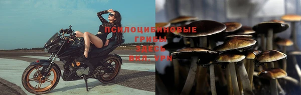 mix Осинники