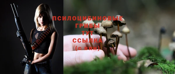 PSILOCYBIN Инта