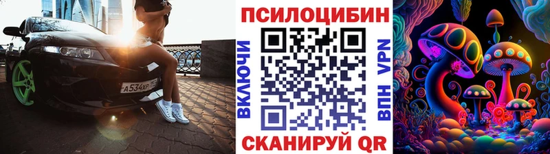 Псилоцибиновые грибы GOLDEN TEACHER  ОМГ ОМГ как зайти  Кодинск  купить наркотики цена 